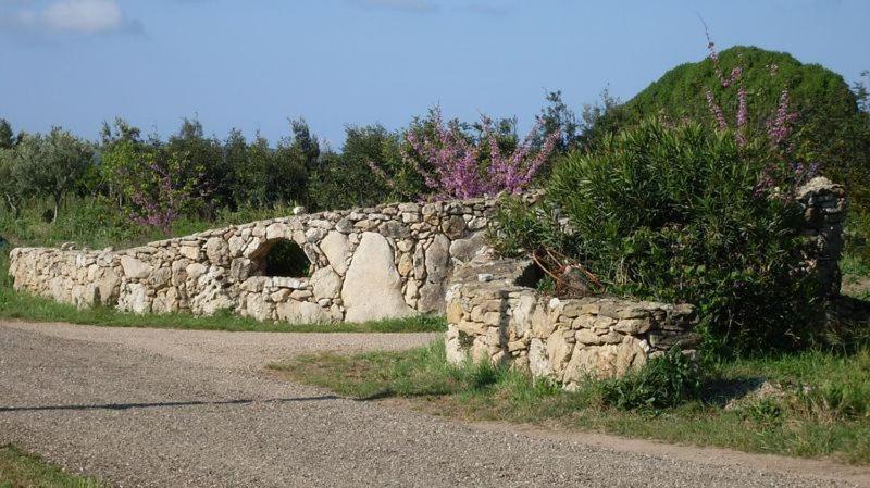 Вилла Agriturismo Bachile Bertula Риола-Сардо Экстерьер фото